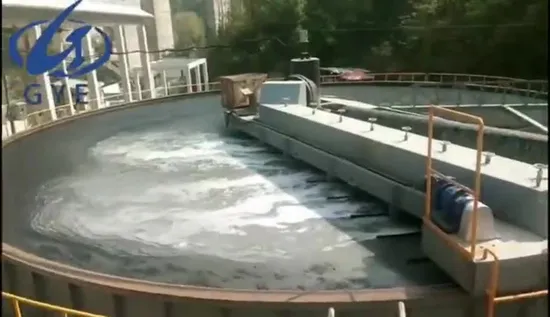 Flussaufbereitungsausrüstung Flache Flotation mit gelöster Luft zur Entfernung von Algen