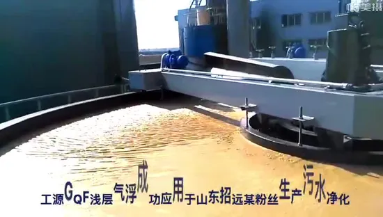 Flache kreisförmige Flotation mit gelöster Luft für Abwasser aus der Aquakultur-Fischzucht